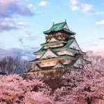 ژاپن بهار 1403