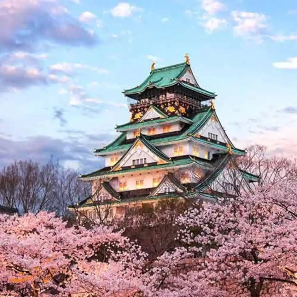 ژاپن بهار 1403