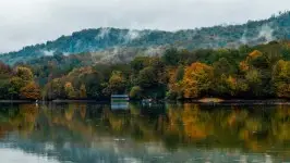 برنجستانک 11 خرداد