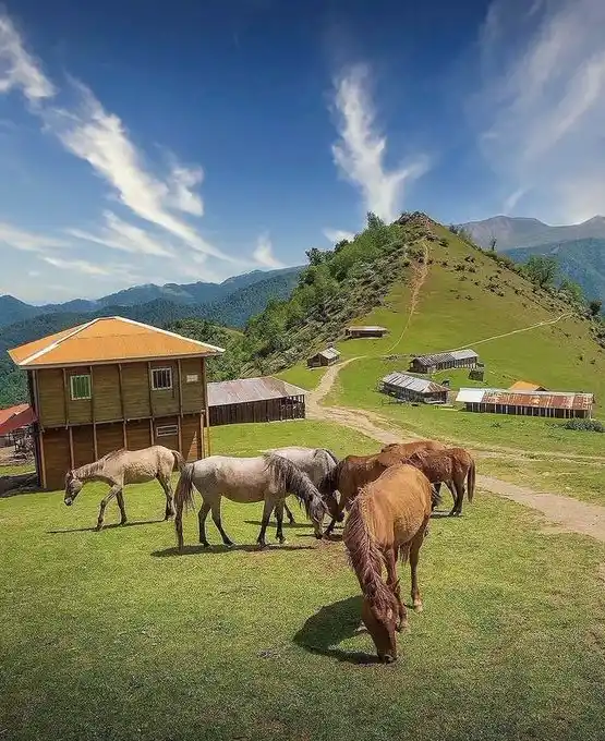 ییلاق ماسال تا ساحل یاس 19 تا 21 اردیبهشت