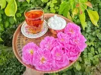 شهر گل و گلاب کاشان و نیاسر 15 اردیبهشت